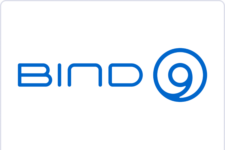 BIND9 Server Setup & Configuration